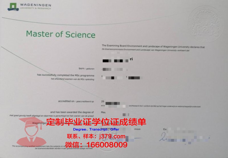 大市大毕业证:如何提升个人求职竞争力?