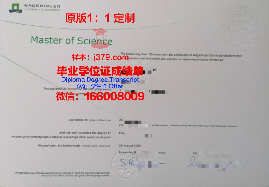 如何获取龙卧大毕业证电子版