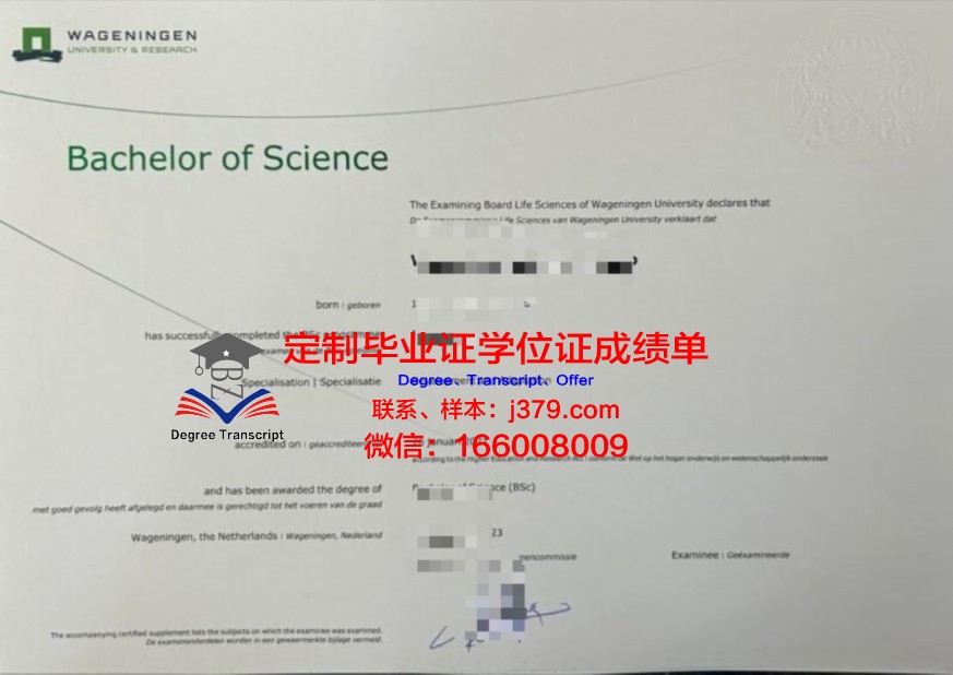 VCC本科毕业证书
