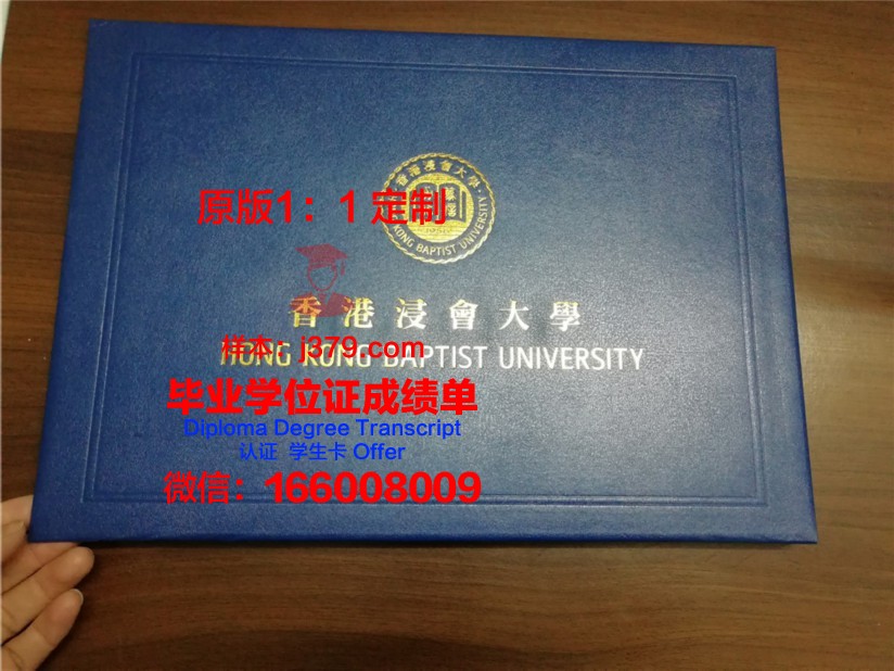 高校毕业证书壳子:茨基大样本深度剖析
