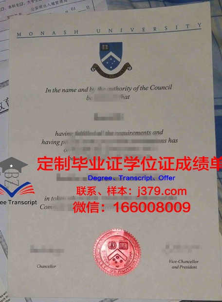 Delhi University 文凭资质