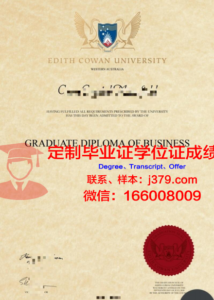 墨尔本技术学院本科文凭课程