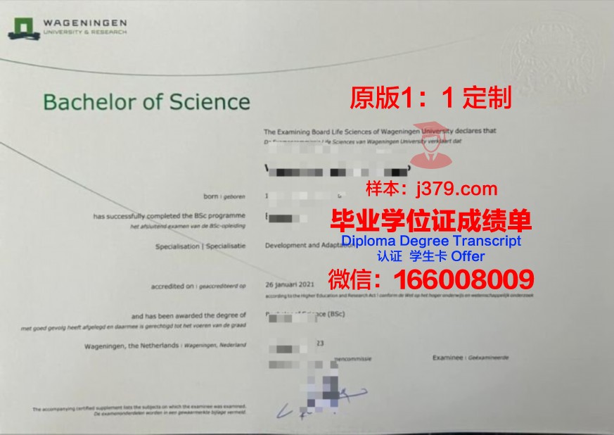 贝格大本科证书与就业前景解析