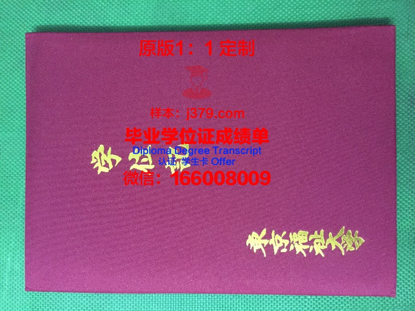 IGL医疗福祉特色学院学位证书