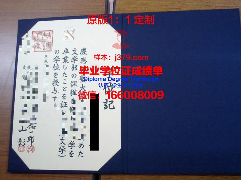 都市教育科学专业学位证书