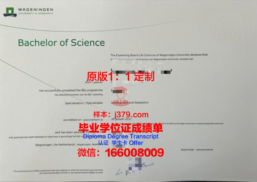 服部营养专业本科毕业资格证书