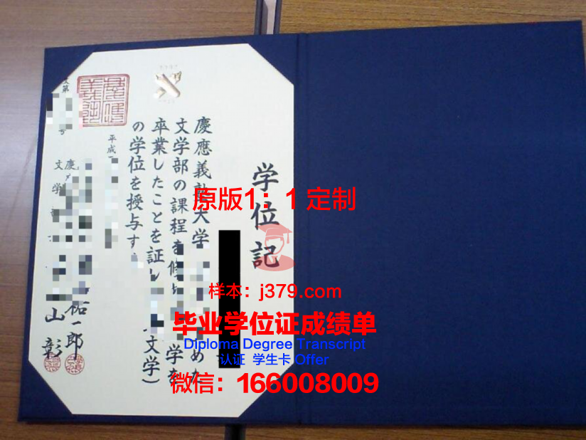 TUD学位证书
