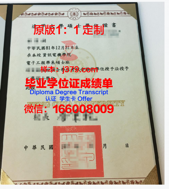 俄罗斯友校大学学位证书及成绩记录