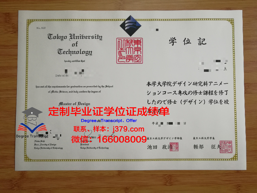 日本东京情报学府学位证明