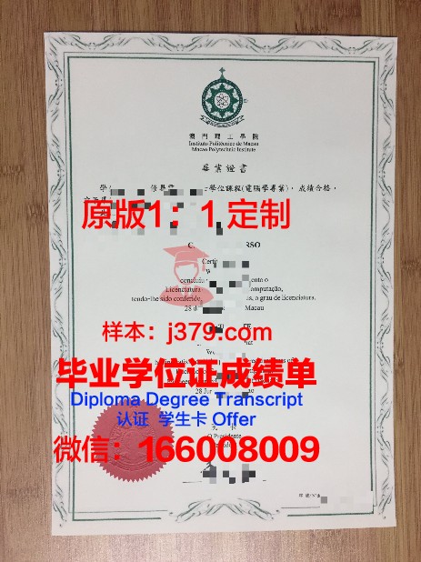 伊科技毕业证所涵盖的专业技能解读