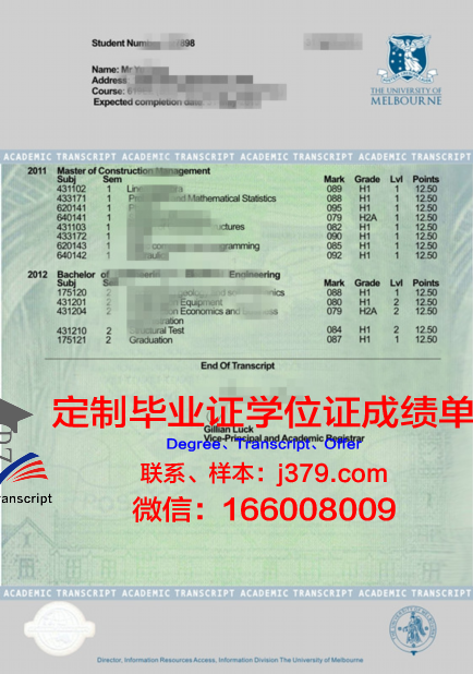 特大教证书成绩单:揭秘成绩背后的学习策略