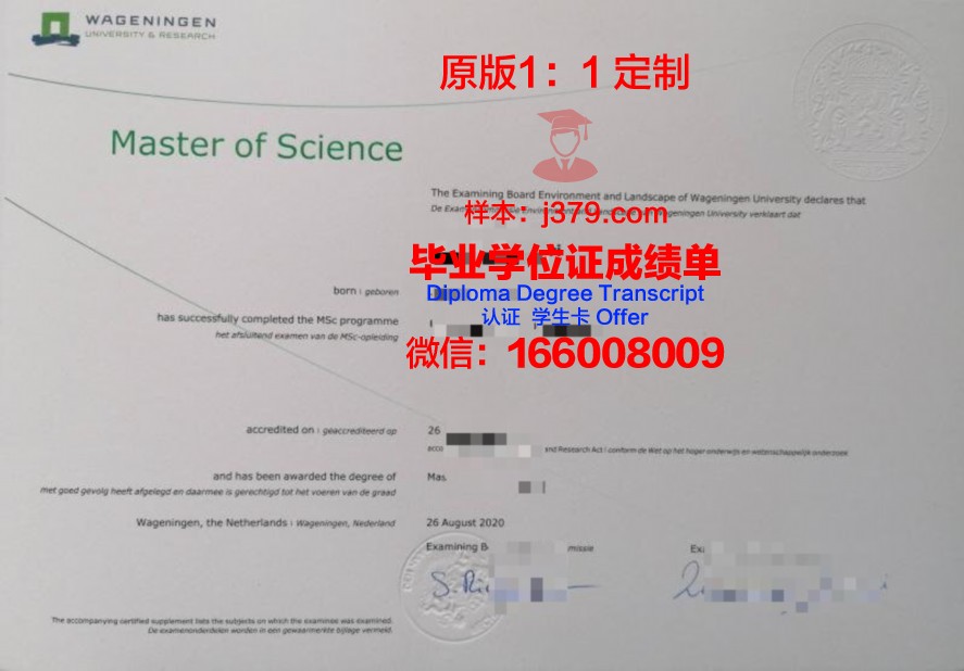 迪内大学毕业生毕业证补办指南