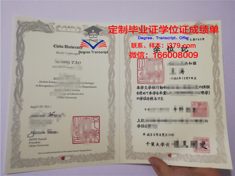 千叶本科证书:提升个人综合素质的绝佳途径