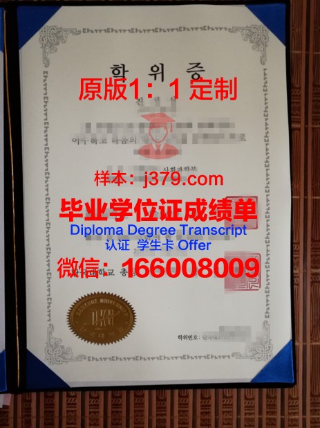 联合国大学本科毕业证书