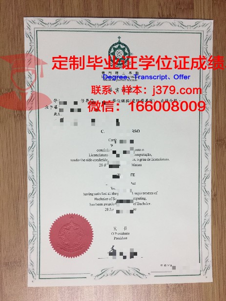 解读教大本科毕业证:培养方案与课程设置