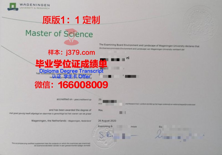东南大毕业证电子版使用说明