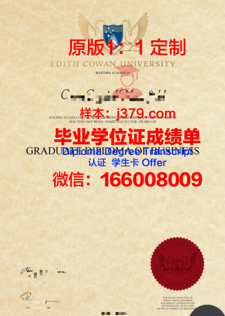 迭大本科文凭获取