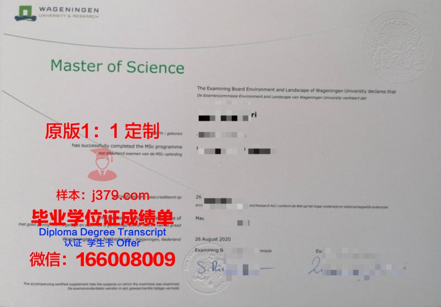 Hadi University本科证书