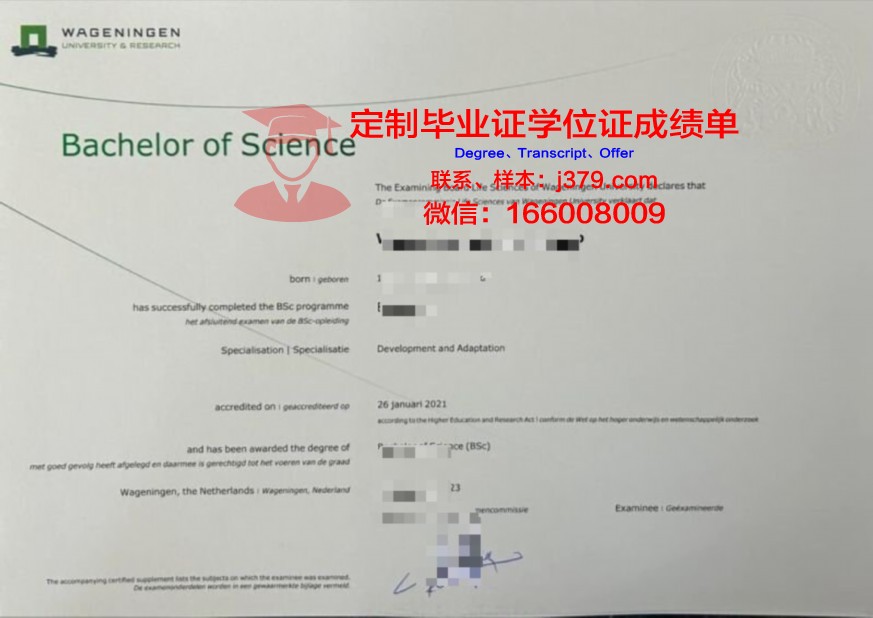 烈斯本科证书:开启高薪职业的大门