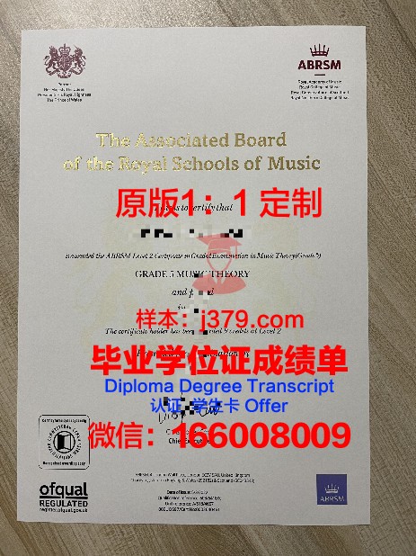PoliTo学术成就证书