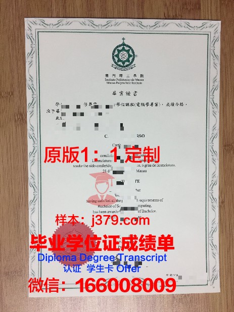 布莱京理工学院专业文凭证书