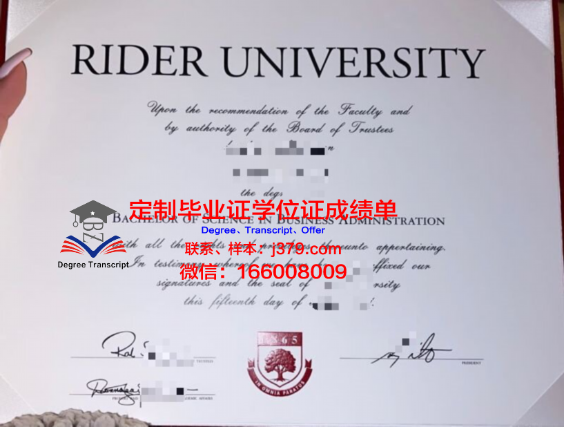 德莱德成绩单深度分析:教育质量评估