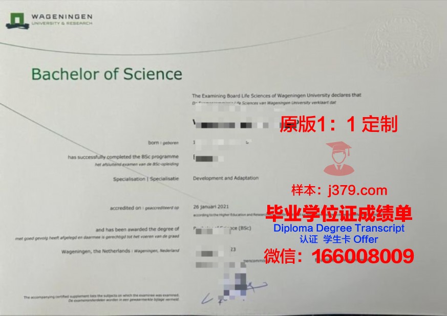 ESADE本科阶段毕业资格证书