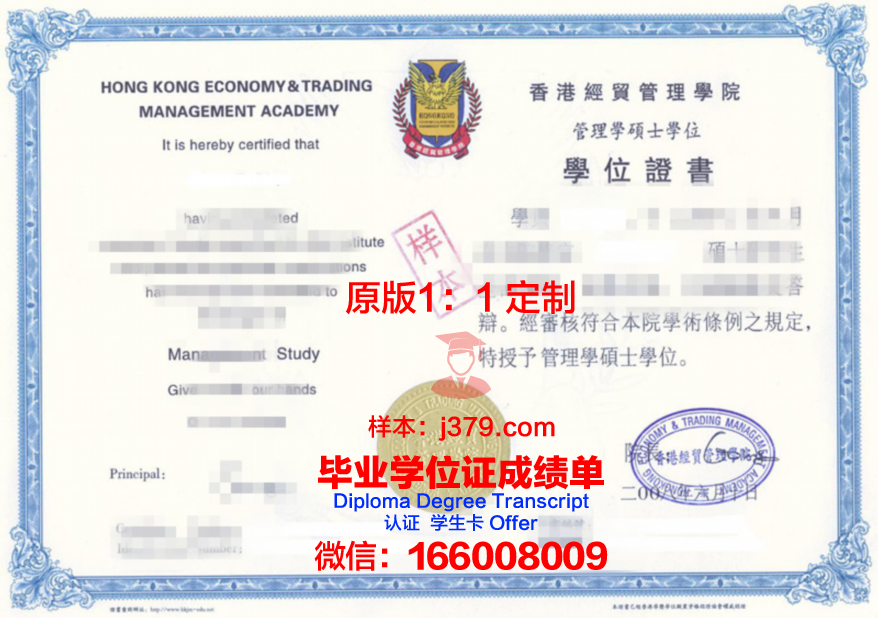 不梅研究生证书:专业选择与课程设置详解
