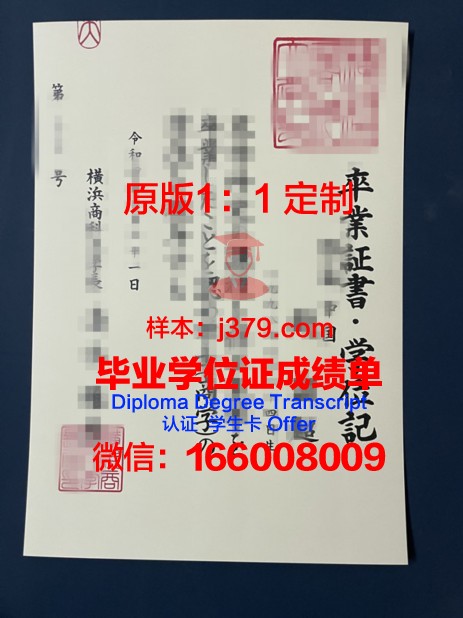 桐荫横滨大学博士学历证明
