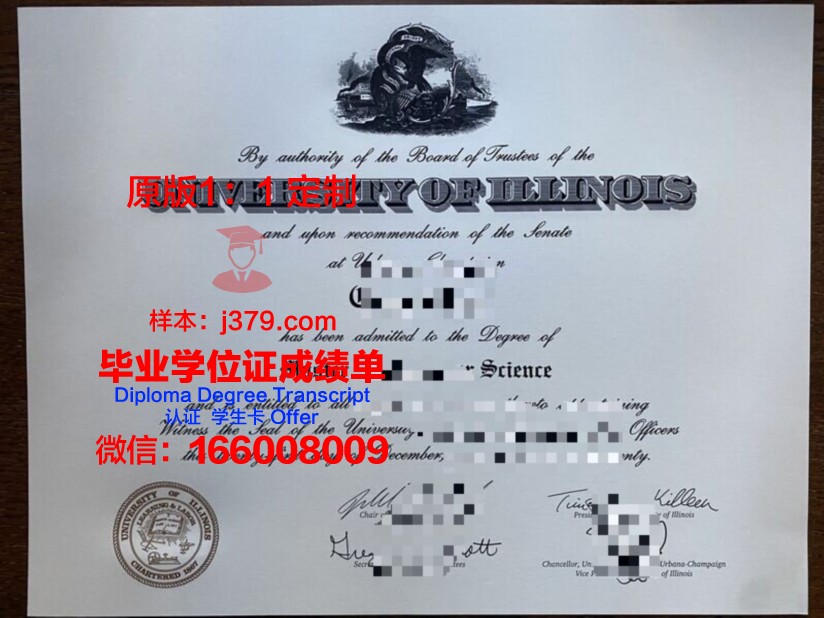 从零开始:Beavers硕士证书学习路径解析