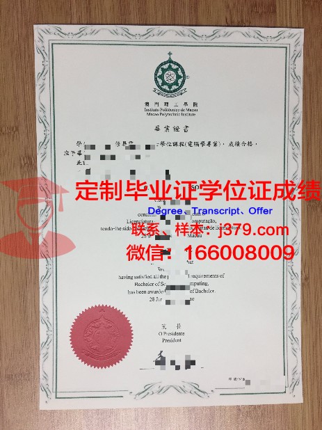 RTU MIREA毕业证书上的专业与课程设置介绍