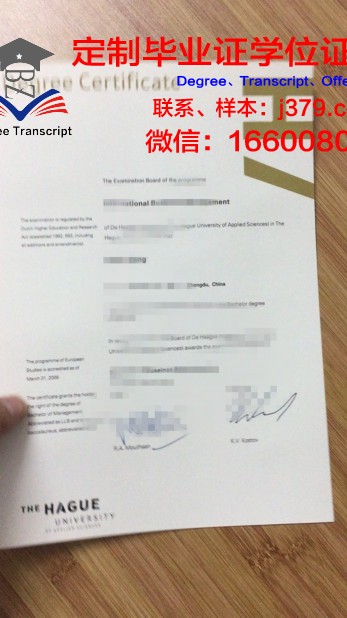 卡累利阿应用科学大学电子毕业证书副本