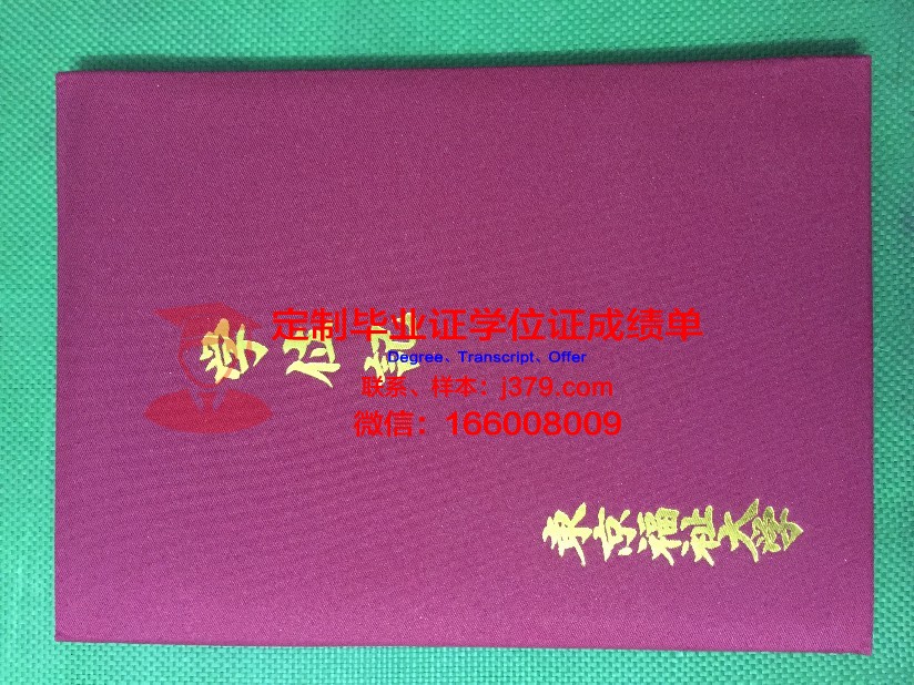 日本东京情报学府学位证明