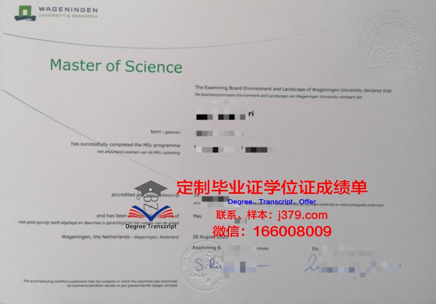 柏大硕士证书:专业选择与课程设置介绍