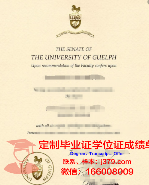 圭尔夫大学学历证明与资格文凭