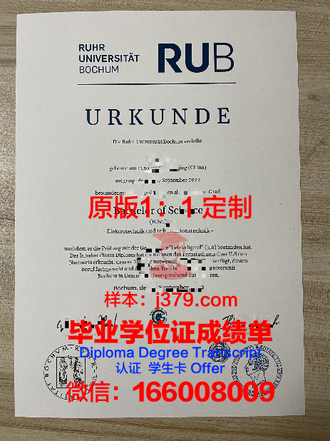 波鸿本科证书就业前景展望
