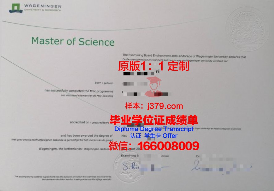 都会自治毕业证电子版全解析