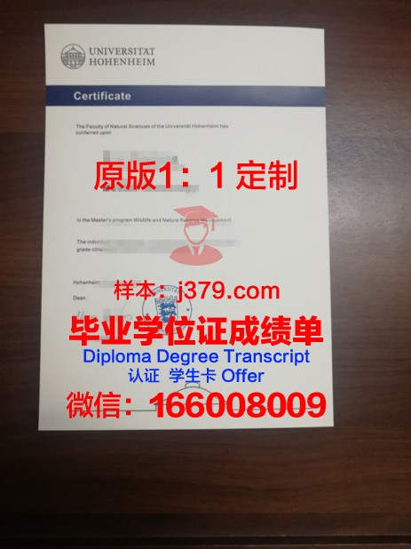 普福尔茨海姆应用技术大学文凭