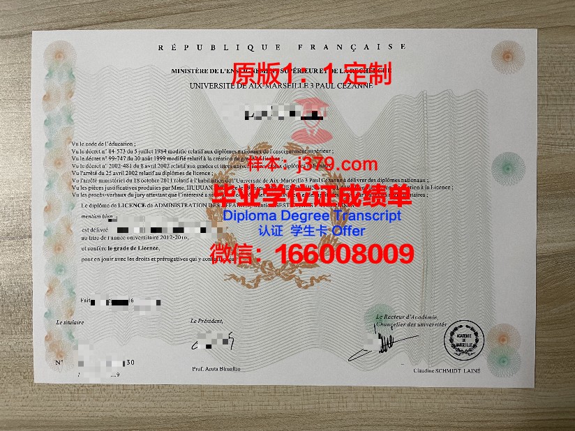 马赛研究生证书价值评估:投资未来,收获成功