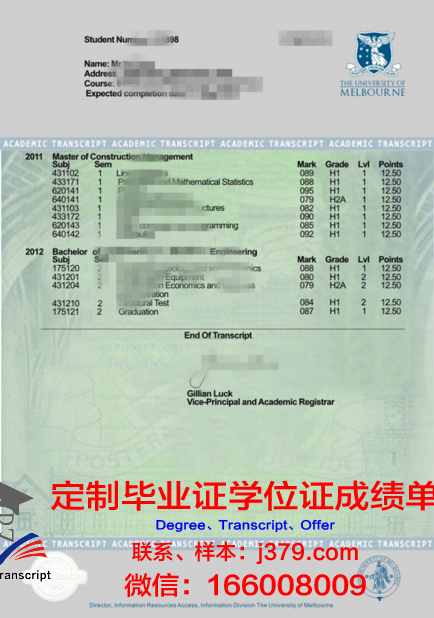 TGU成绩单分析:如何判断自己的学习进度