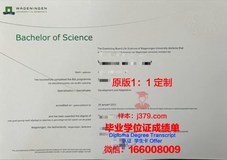 UGM本科阶段毕业资格证书