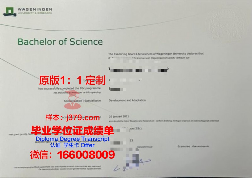 国科大本科证书:职场竞争力提升的秘密武器