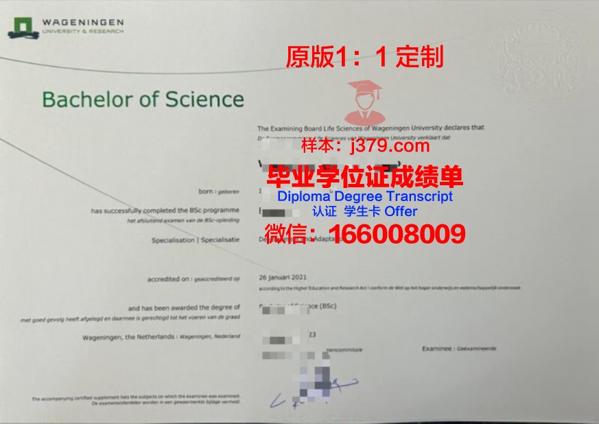 格勒诺布尔大学本科证书