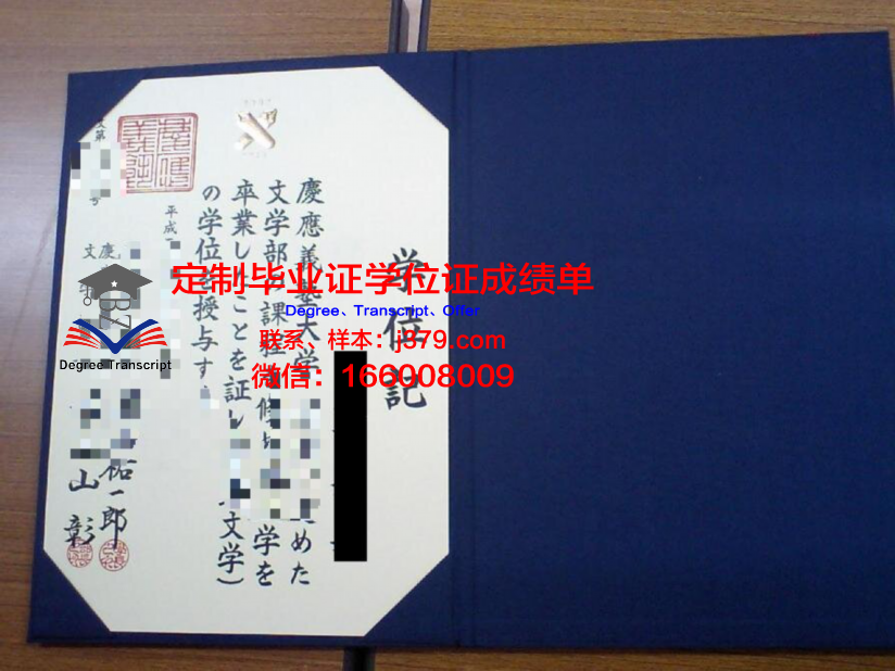 Leics高级学位证书