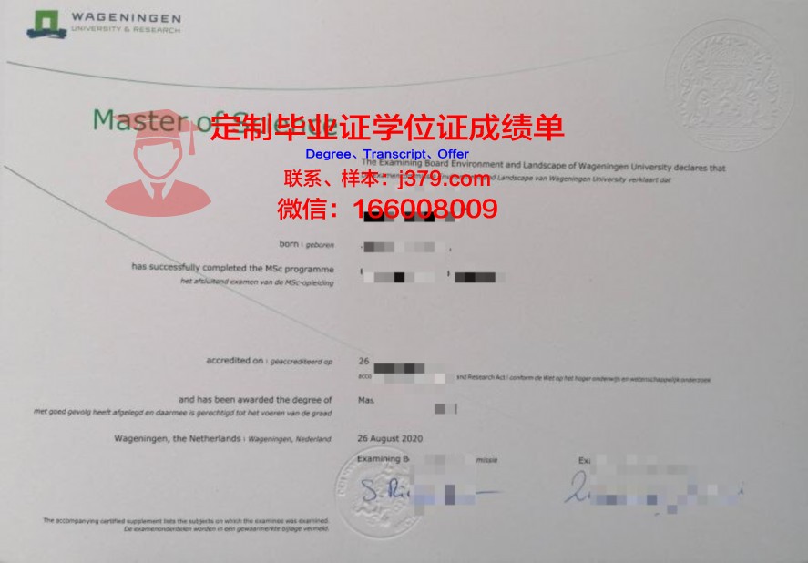 麻大电子毕业证书下载版