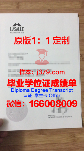 LUCA艺术学院专业文凭证书