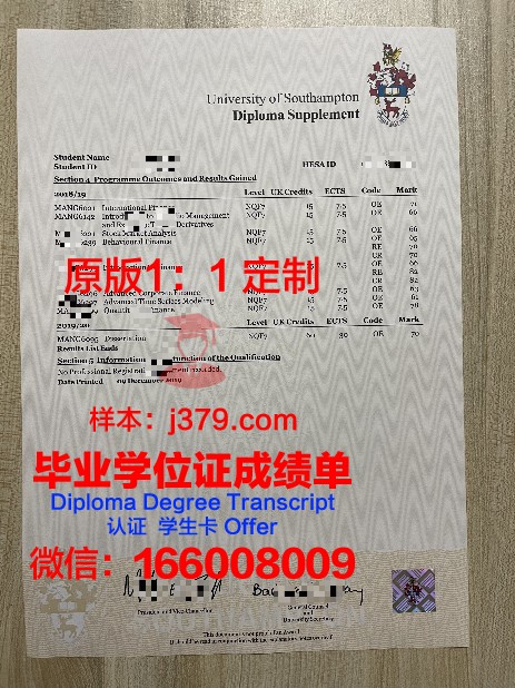 近大院成绩单深度分析:学习趋势与问题