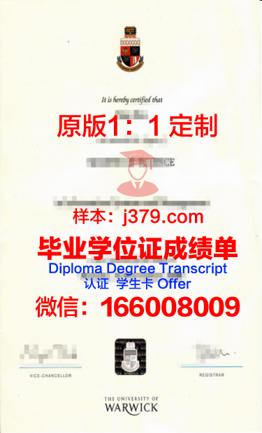 华威大学成绩单解读与要点分析