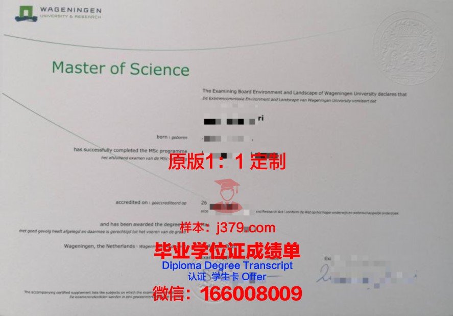 巴工院博士毕业证与就业前景关联