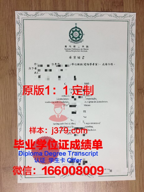 佩贾本科毕业证:毕业生的职业发展路径